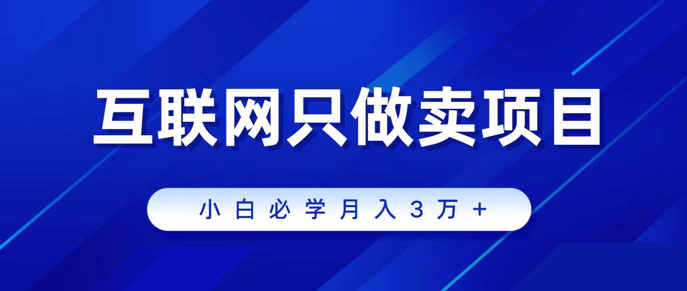 互联网的尽头就是卖项目，被割过韭菜的兄弟们必看！轻松月入三万以上！-伊恩资源网