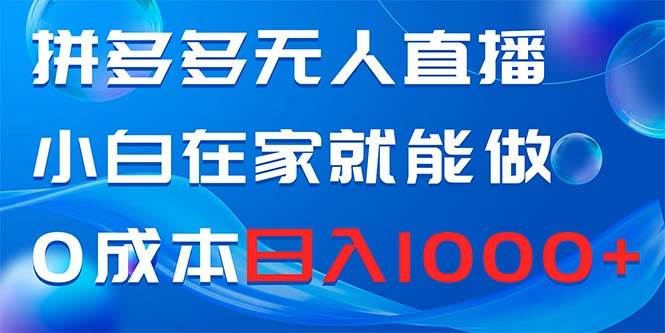 拼多多无人直播，小白在家就能做，0成本日入1000+-伊恩资源网