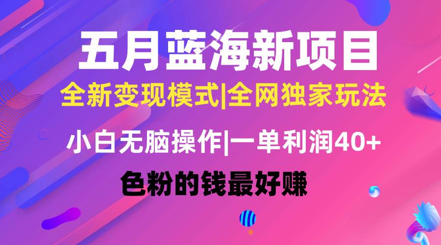 五月蓝海项目全新玩法，小白无脑操作，一天几分钟，矩阵操作，月入4万+-伊恩资源网