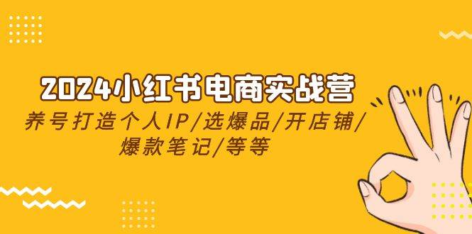 2024小红书电商实战营，养号打造IP/选爆品/开店铺/爆款笔记/等等（24节）-伊恩资源网