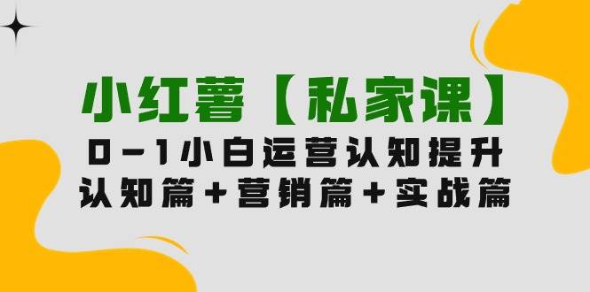 小红薯【私家课】0-1玩赚小红书内容营销，认知篇+营销篇+实战篇（11节课）-伊恩资源网