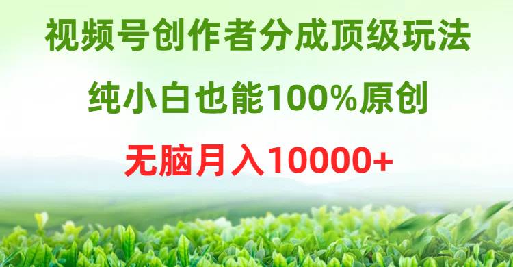 视频号创作者分成顶级玩法，纯小白也能100%原创，无脑月入10000+-伊恩资源网