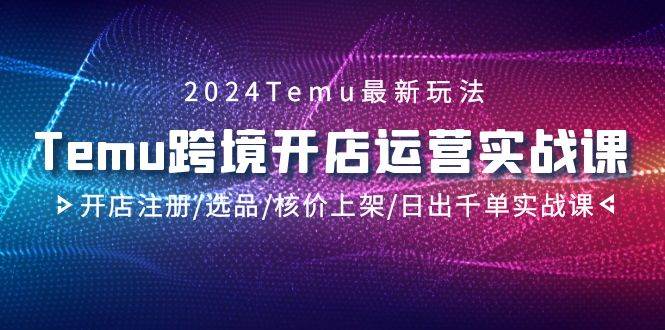 2024Temu跨境开店运营实战课，开店注册/选品/核价上架/日出千单实战课-伊恩资源网