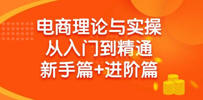 电商理论与实操从入门到精通 新手篇+进阶篇-伊恩资源网