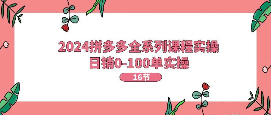 2024拼多多全系列课程实操，日销0-100单实操【16节课】-伊恩资源网