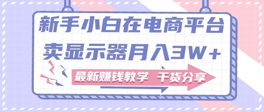 新手小白如何做到在电商平台卖显示器月入3W+，最新赚钱教学干货分享-伊恩资源网