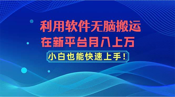 利用软件无脑搬运，在新平台月入上万，小白也能快速上手-伊恩资源网