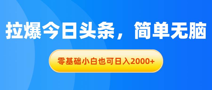 拉爆今日头条，简单无脑，零基础小白也可日入2000+-伊恩资源网