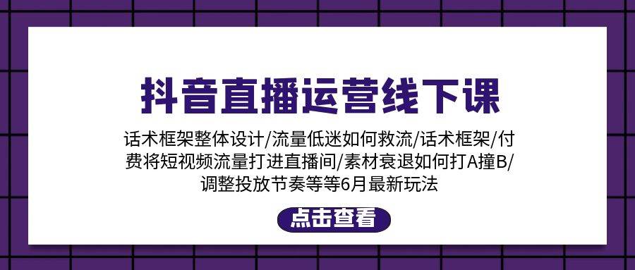 抖音直播运营线下课：话术框架/付费流量直播间/素材A撞B/等6月新玩法-伊恩资源网