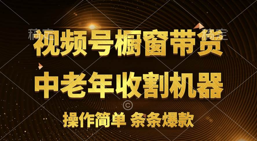 [你的孩子成功取得高位]视频号最火爆赛道，橱窗带货，流量分成计划，条…-伊恩资源网