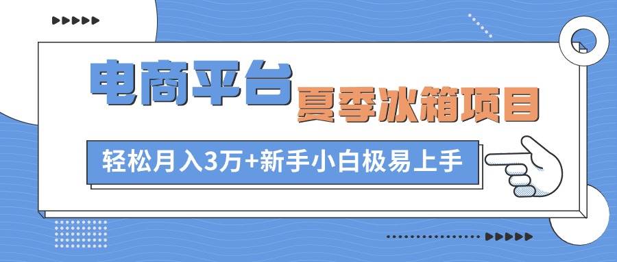 电商平台夏季冰箱项目，轻松月入3万+，新手小白极易上手-伊恩资源网