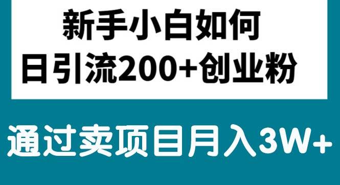 新手小白日引流200+创业粉,通过卖项目月入3W+-伊恩资源网