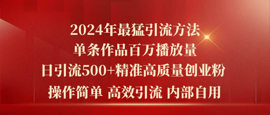 2024年最猛暴力引流方法，单条作品百万播放 单日引流500+高质量精准创业粉-伊恩资源网