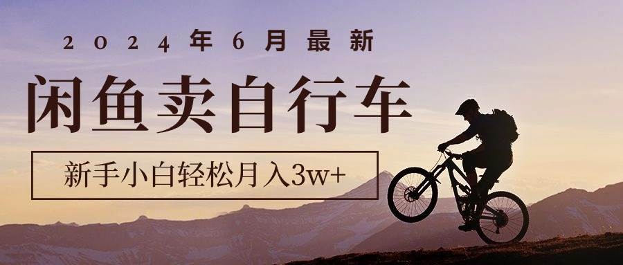 2024年6月最新闲鱼卖自行车，新手小白轻松月入3w+项目-伊恩资源网