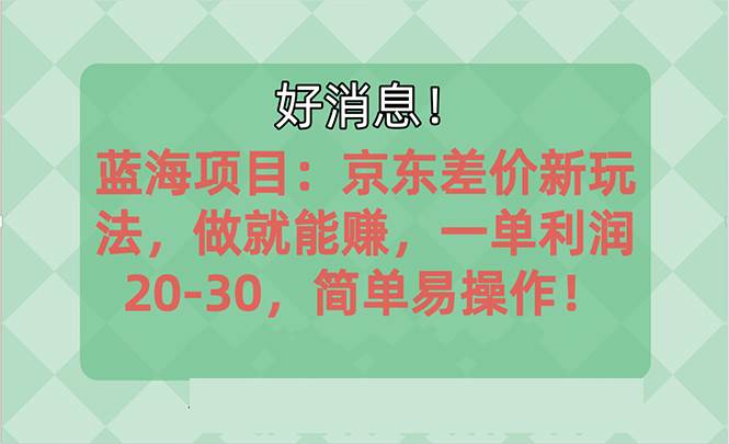 越早知道越能赚到钱的蓝海项目：京东大平台操作，一单利润20-30，简单…-伊恩资源网