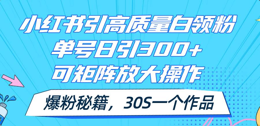 小红书引高质量白领粉，单号日引300+，可放大操作，爆粉秘籍！30s一个作品-伊恩资源网