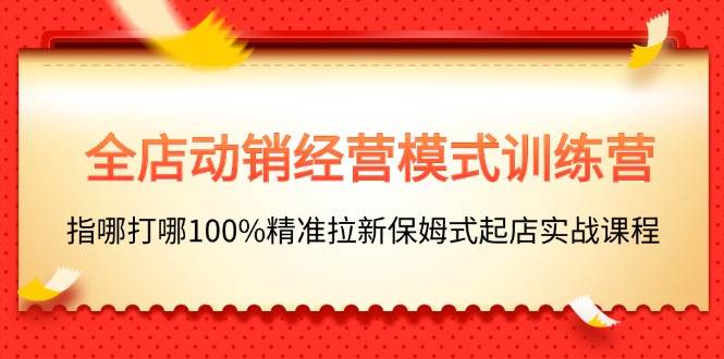 全店动销-经营模式训练营，指哪打哪100%精准拉新保姆式起店实战课程-伊恩资源网