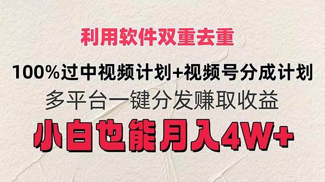 利用软件双重去重，100%过中视频+视频号分成计划小白也可以月入4W+-伊恩资源网