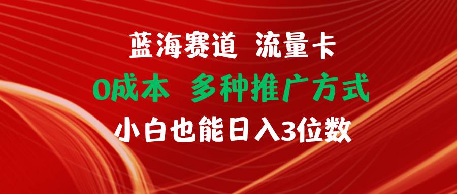 蓝海赛道 流量卡 0成本 小白也能日入三位数-伊恩资源网