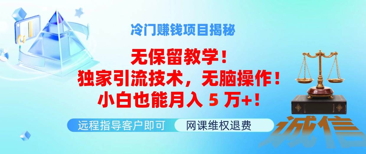 冷门赚钱项目无保留教学！独家引流技术，无脑操作！小白也能月入5万+！-伊恩资源网