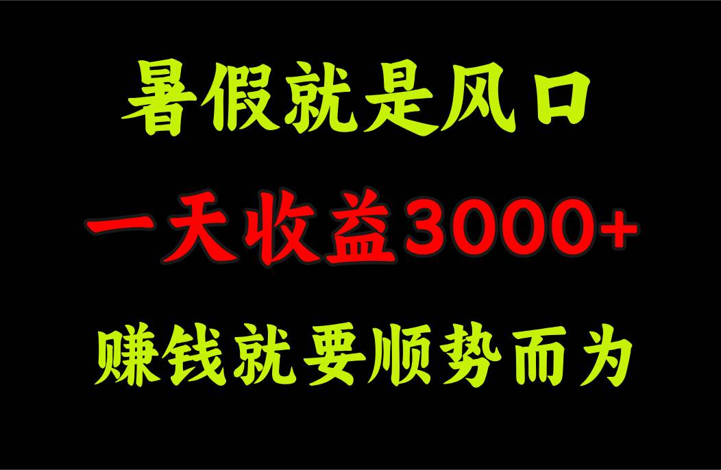 一天收益3000+ 赚钱就是顺势而为，暑假就是风口-伊恩资源网