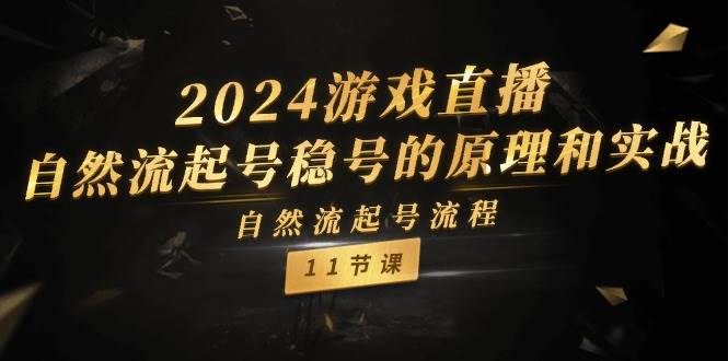 2024游戏直播-自然流起号稳号的原理和实战，自然流起号流程（11节）-伊恩资源网