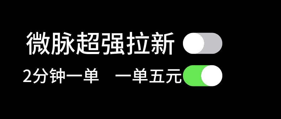 微脉超强拉新， 两分钟1单， 一单利润5块，适合小白-伊恩资源网