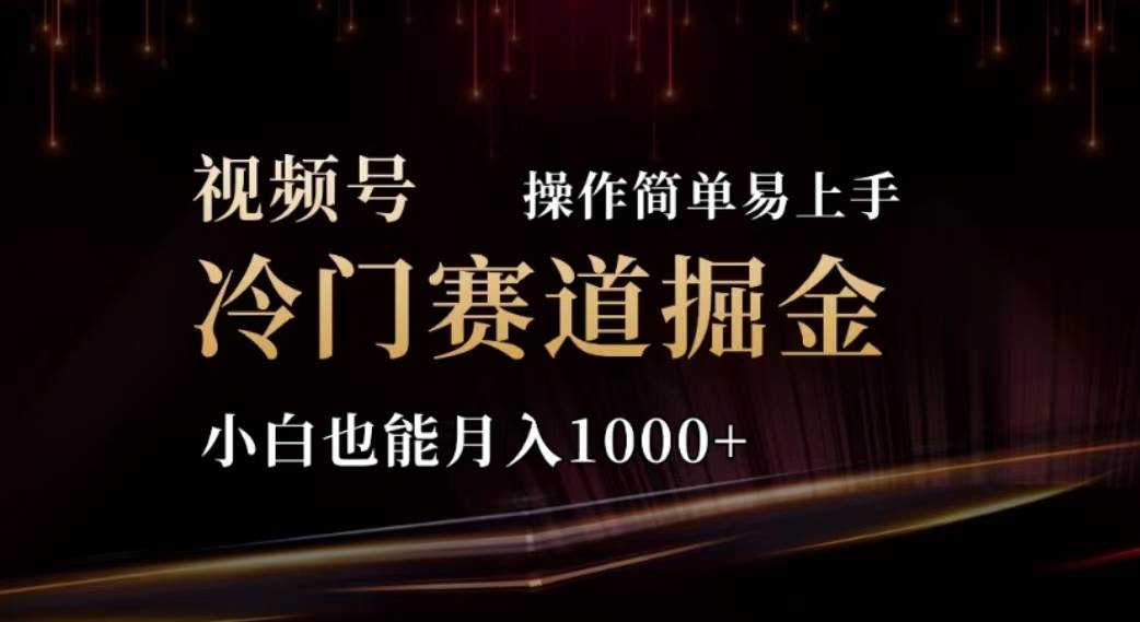 2024视频号冷门赛道掘金，操作简单轻松上手，小白也能月入1000+-伊恩资源网