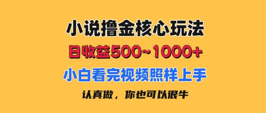 小说撸金核心玩法，日收益500-1000+，小白看完照样上手，0成本有手就行-伊恩资源网