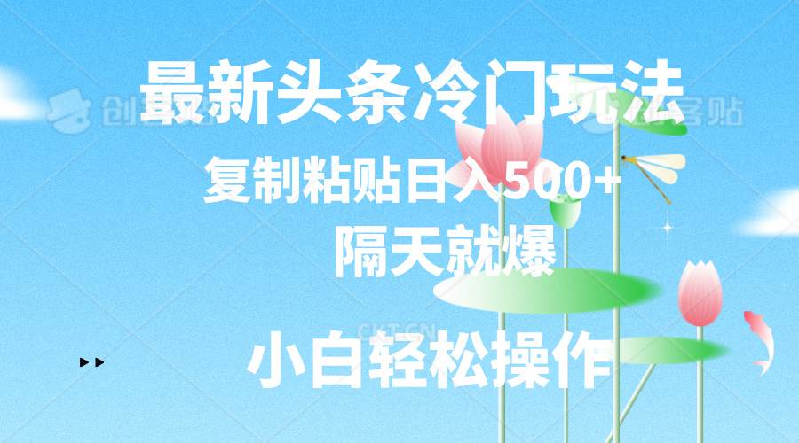 最新头条冷门玩法，隔天就爆，复制粘贴日入500+-伊恩资源网