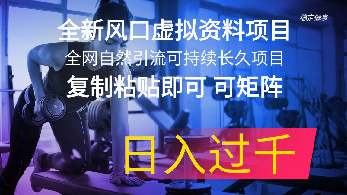 全新风口虚拟资料项目 全网自然引流可持续长久项目 复制粘贴即可可矩阵…-伊恩资源网