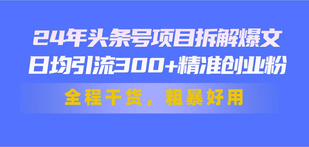 24年头条号项目拆解爆文，日均引流300+精准创业粉，全程干货，粗暴好用-伊恩资源网