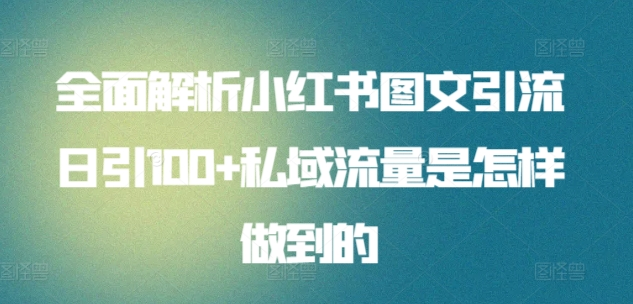 全面解析小红书图文引流日引100私域流量是怎样做到的-伊恩资源网