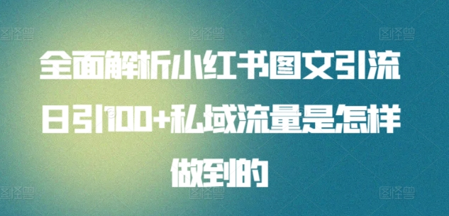 日引流100私域流量小红书图文是怎样做到的全面解析-伊恩资源网