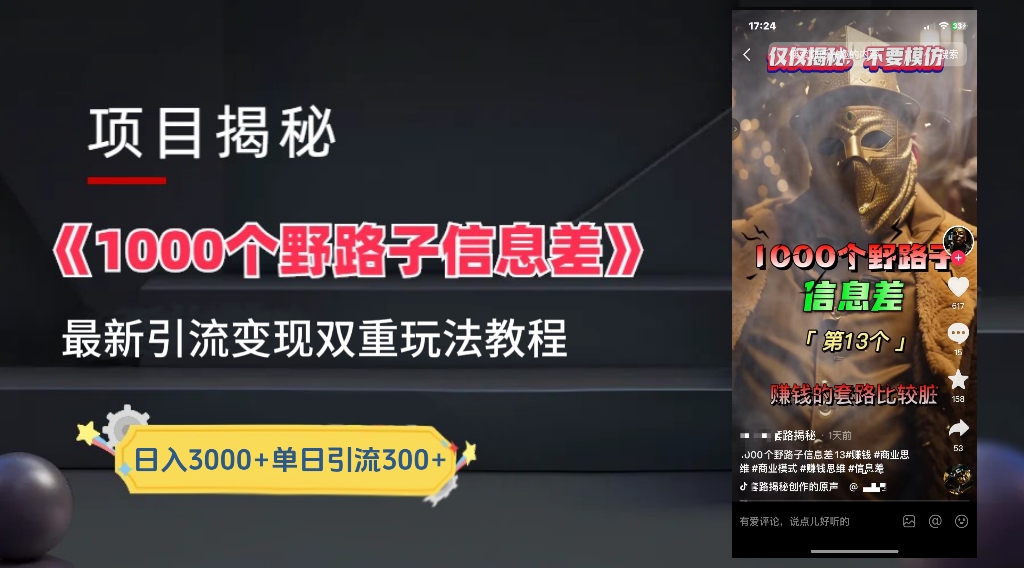 一千个野路子信息差24年最新玩法教程附带变现方法和引流的玩法具体拆解-伊恩资源网