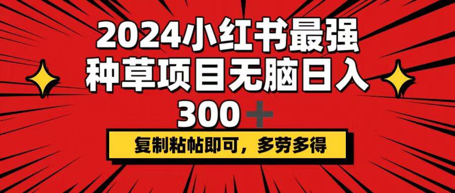 2024小红书最强种草项目，无脑日入300+，复制粘帖即可，多劳多得-伊恩资源网