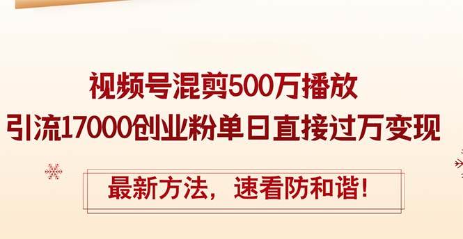 精华帖视频号混剪500万播放引流17000创业粉，单日直接过万变现，最新方…-伊恩资源网