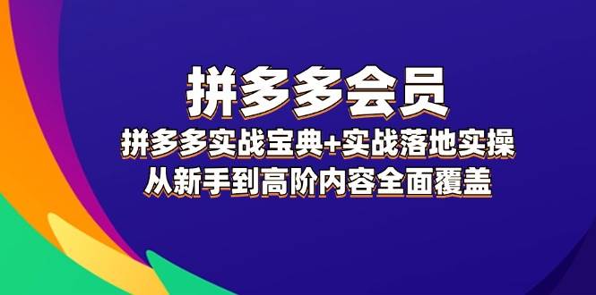 拼多多 会员，拼多多实战宝典+实战落地实操，从新手到高阶内容全面覆盖-伊恩资源网