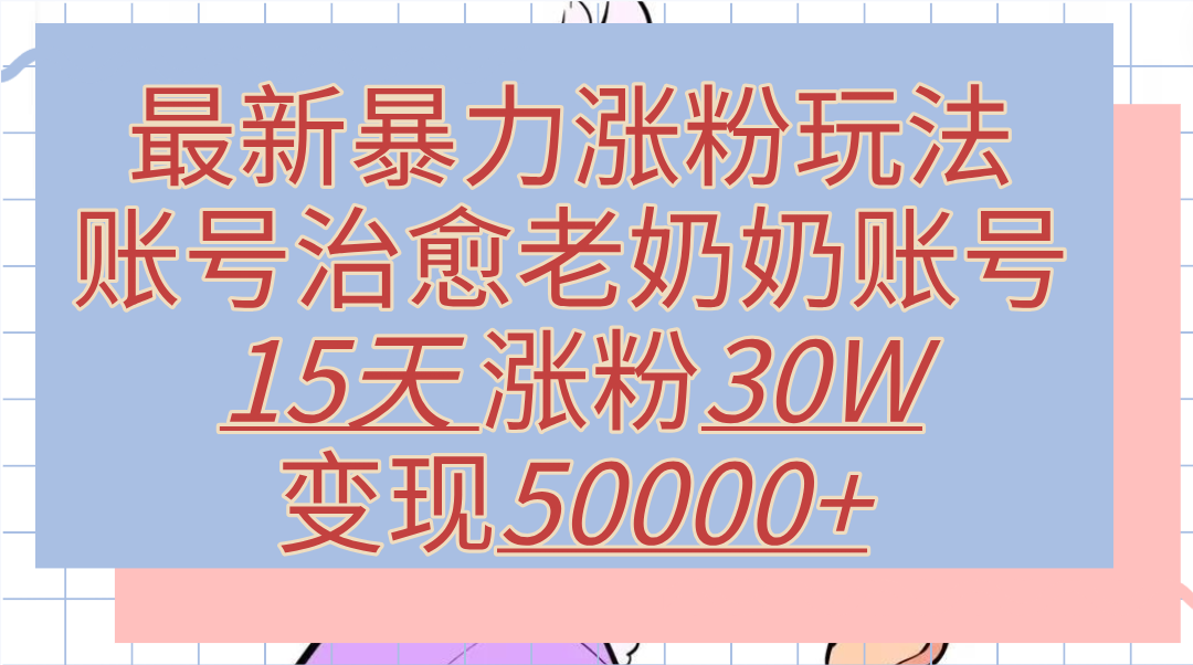 最新暴力涨粉玩法，治愈老奶奶账号，15天涨粉30W，变现50000+【揭秘】-伊恩资源网