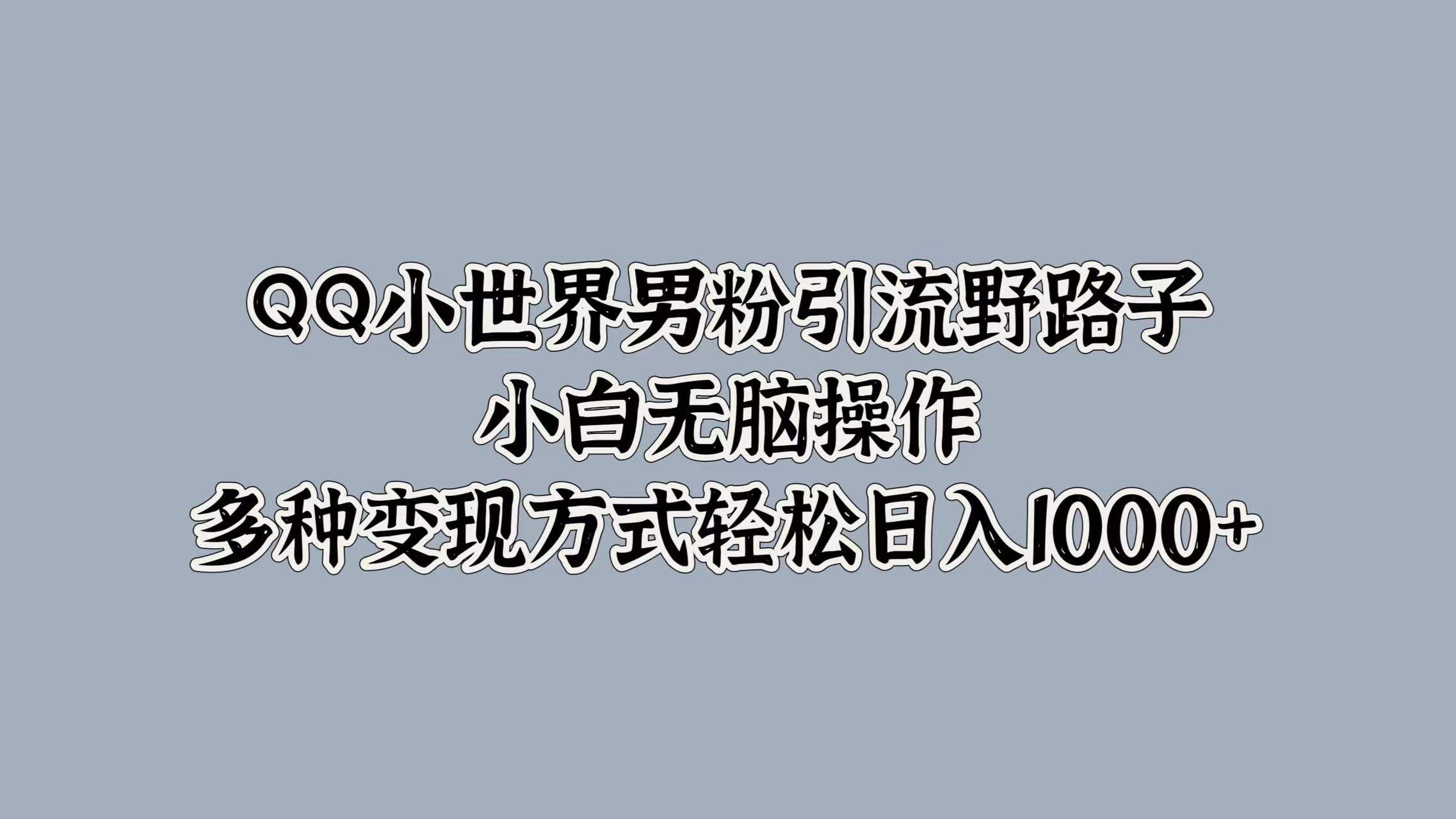 QQ小世界男粉引流野路子，小白无脑操作，多种变现方式轻松日入1000+-伊恩资源网