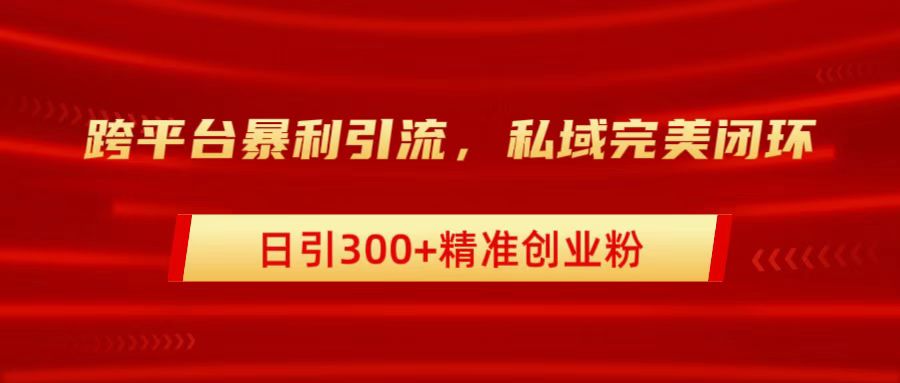 跨平台暴力引流，私域完美闭环，日引300+精准创业粉-伊恩资源网