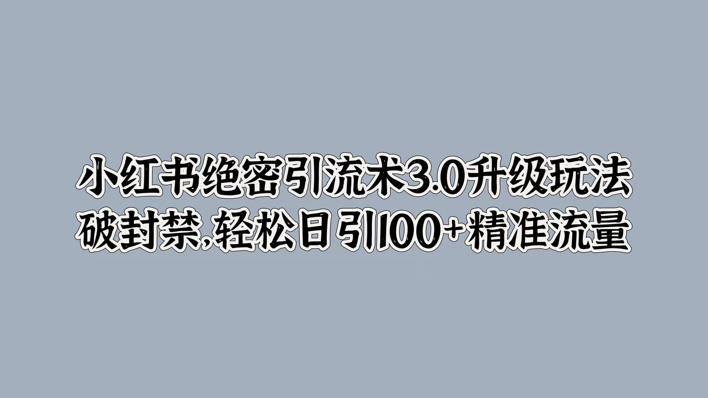 小红书绝密引流术3.0升级玩法，破封禁，轻松日引100+精准流量-伊恩资源网