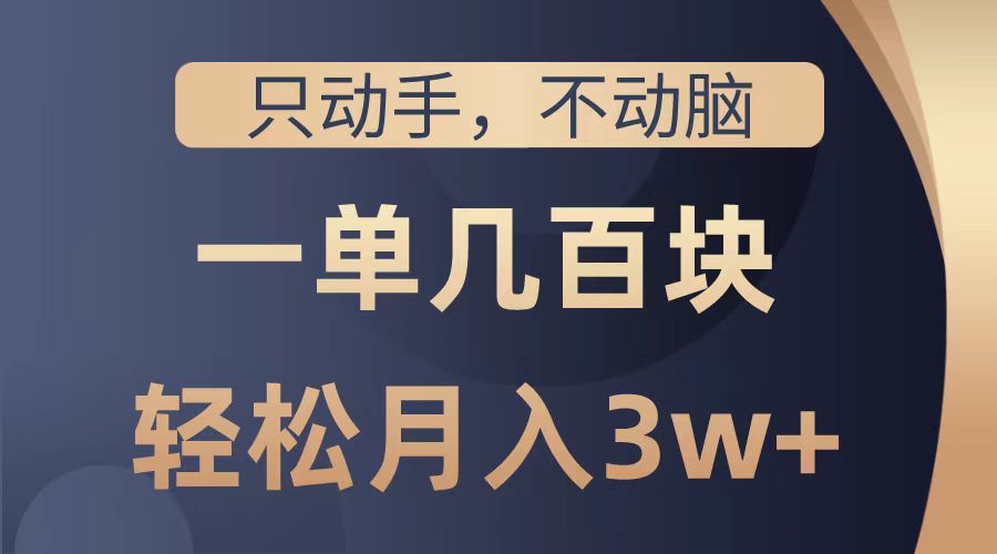 只动手不动脑，一单几百块，轻松月入2w+，看完就能直接操作，详细教程-伊恩资源网