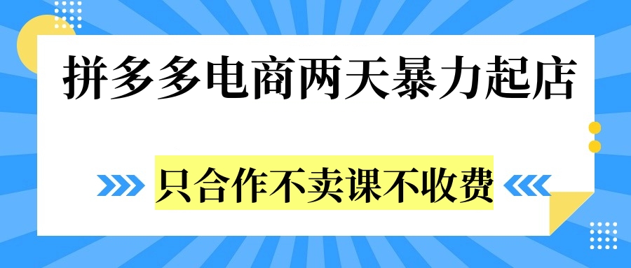 拼多多两天暴力起店，只合作不卖课不收费-伊恩资源网