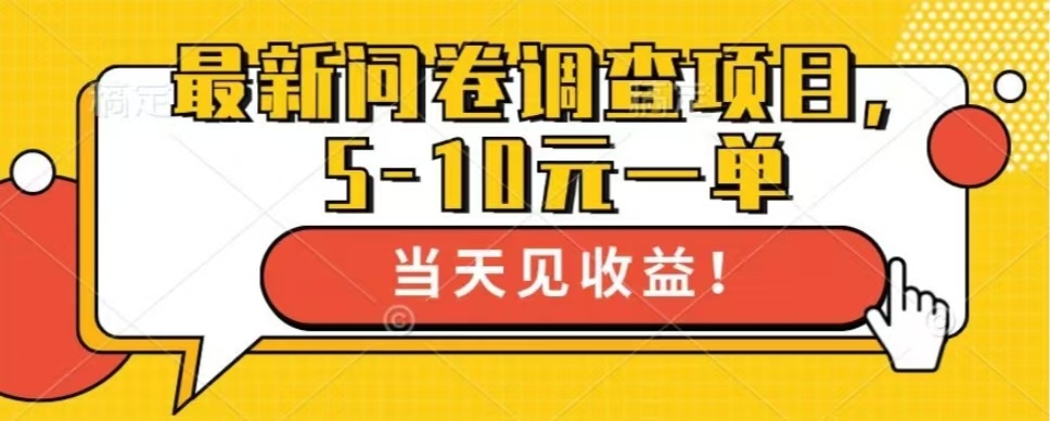 最新问卷调查项目，共12个平台，单日零撸100＋-伊恩资源网