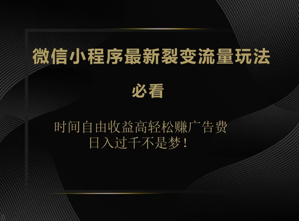 微信小程序最新裂变流量玩法，时间自由收益高轻松赚广告费，日入200-500+-伊恩资源网