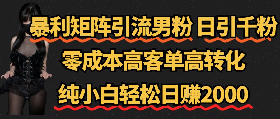 暴利矩阵引流男粉（日引千粉），零成本高客单高转化，纯小白轻松日赚2000+-伊恩资源网