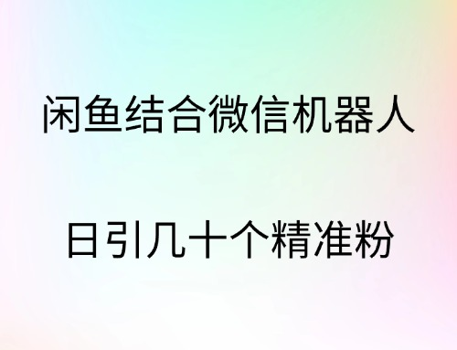 闲鱼结合微信机器人，日引几十个精准粉-伊恩资源网