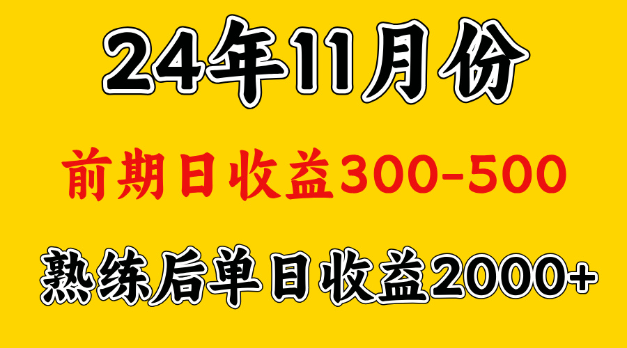 轻资产项目，前期日收益500左右，后期日收益1500-2000左右，多劳多得-伊恩资源网