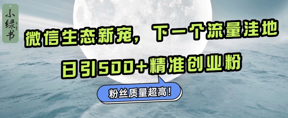 微信生态新宠小绿书：下一个流量洼地，粉丝质量超高，日引500+精准创业粉，-伊恩资源网